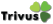 Webdesign Trivus� - Sistemas de Informa��o